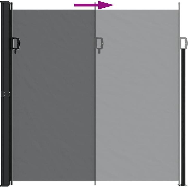 Actual product image VidaXL Extendable side awning (6 m)