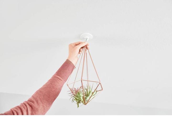 Immagine prodotto tesa Ganci per il soffitto carta da parati e gesso