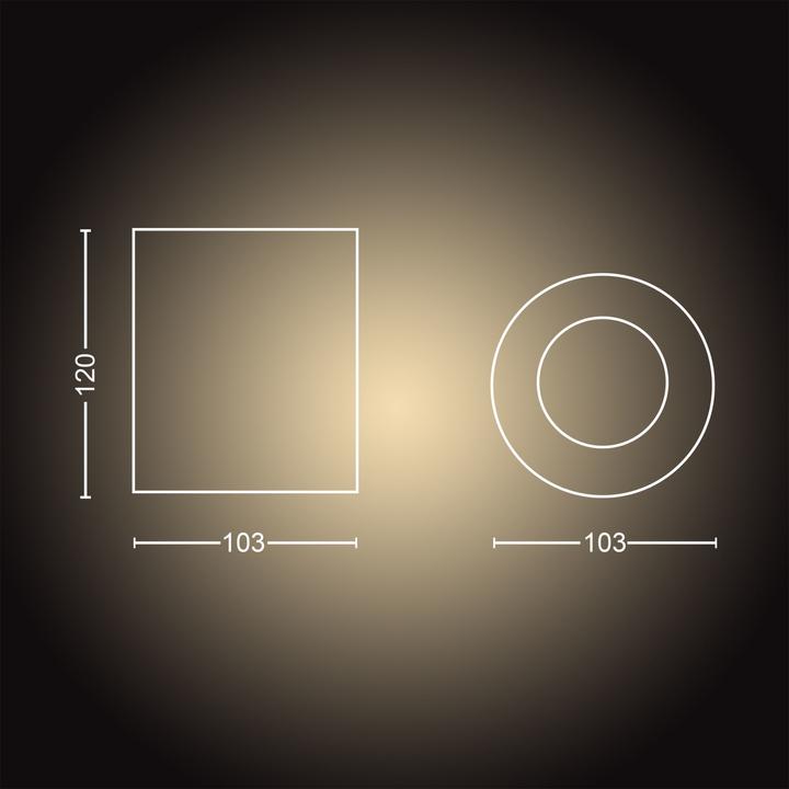 Actual product image Philips Hue Pillar single spot (350 lm, GU10)