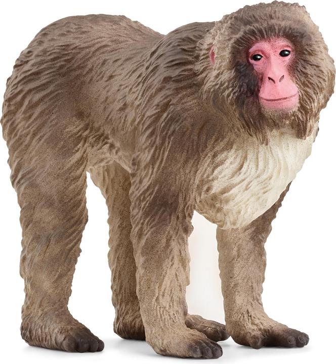 Immagine prodotto Schleich Macaco giapponese