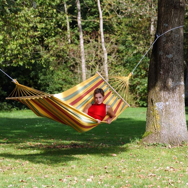 Actual product image Amazonas Aruba (180 kg)