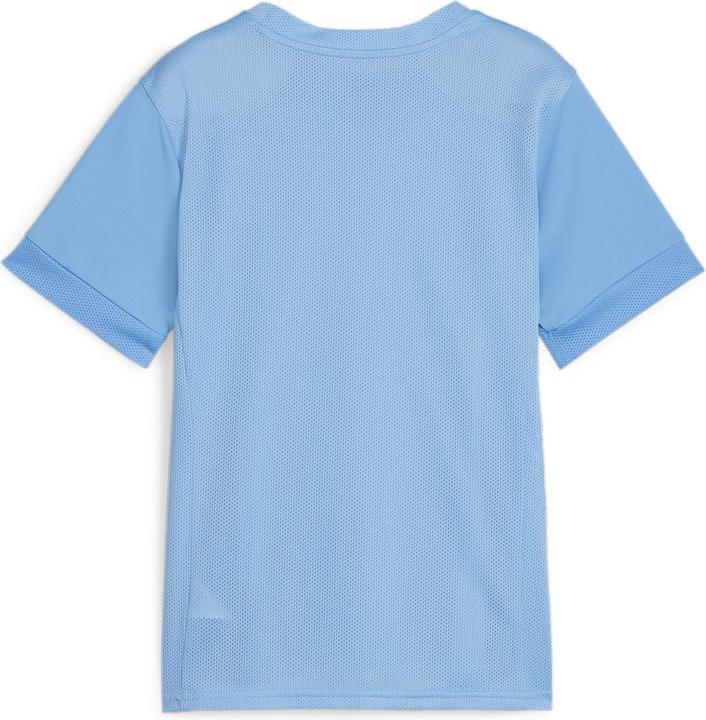 Actual product image Puma teamGOAL Matchday Jersey jr (116)