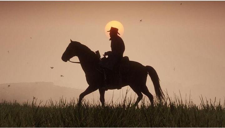 Immagine prodotto Rockstar Red Dead Redemption 2 (PS4, DE)