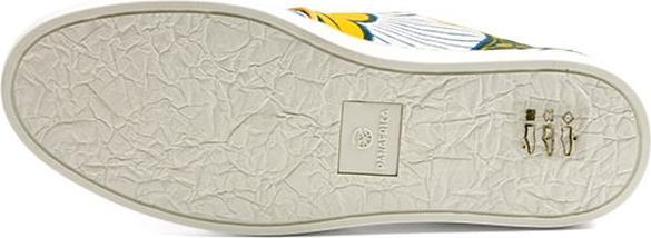 Actual product image Panafrica Oasis (45)