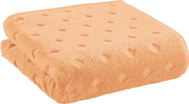 Apricot