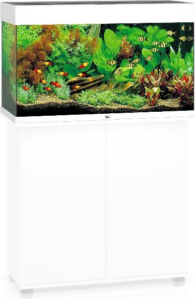 Actual product image Juwel Aquarium Rio (125 l)