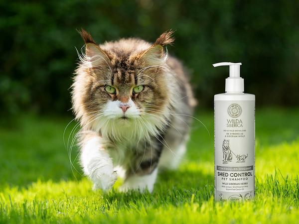Immagine prodotto Wilda Siberica shampoo SHED CONTROL, 5 l (5000 ml, Shampoo liquido)