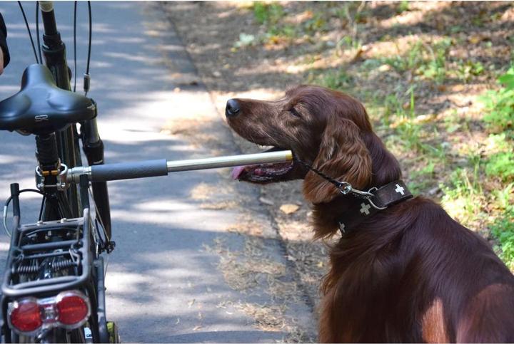 Produktbild Dobar Plus (One Size, Hund, Spazieren, Fahrrad)