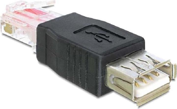 Delock USB socket > RJ45 plug (0.06 m, USB 2.0)