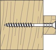 Actual product image Fischer Set screw R 88515 (100 Screws per piece)