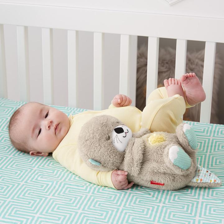 Produktbild Fisher-Price Schlummer-Otter (20.30 cm)