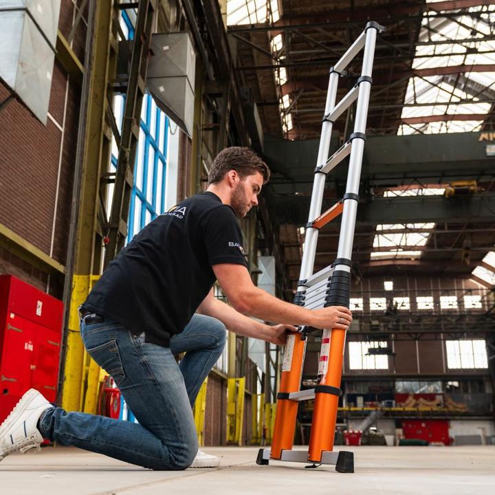 Image du produit Batavia Air Girafe (Échelle deux plans, 380 cm)