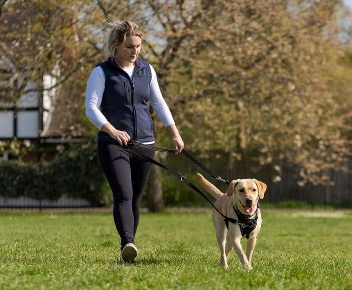 Produktbild Company of Animals Halti No Pull Antizug M Harness (M, Hund, Allgemein)