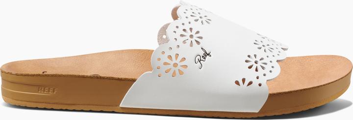 Produktbild Reef Cushion Scallop Scout (40)