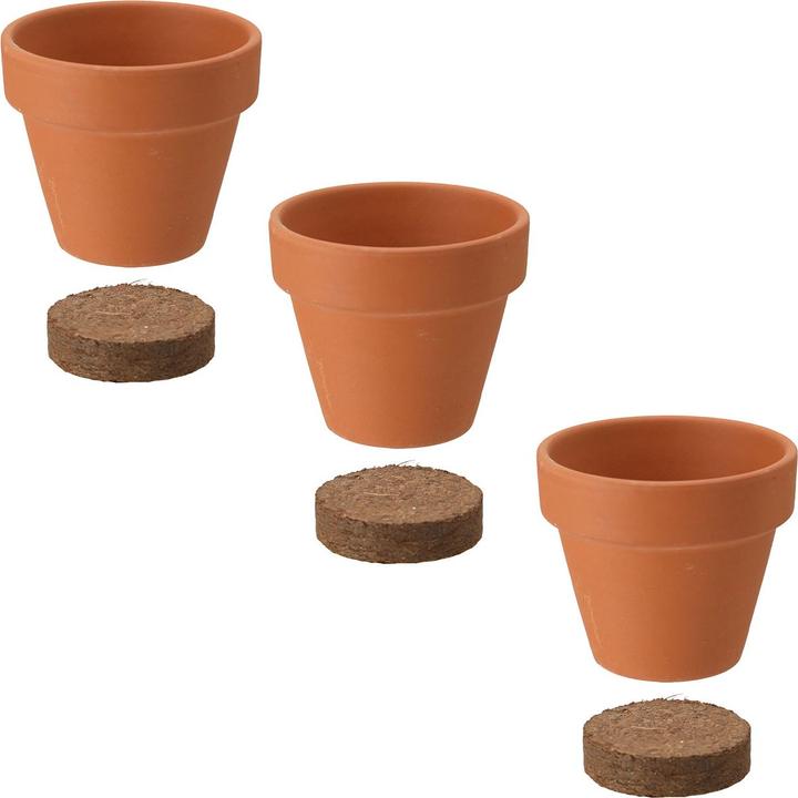 Actual product image ProGarden Mini Gewächshaus mit Anzuchtset - Tomate, Erdbeer und Chilis