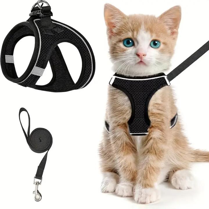 Suba Katzengeschirr (Katze, Allgemein)