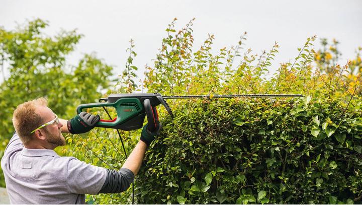 Actual product image Bosch Home & Garden AdvancedHedgeCut 65 (Electric hedge trimmer)
