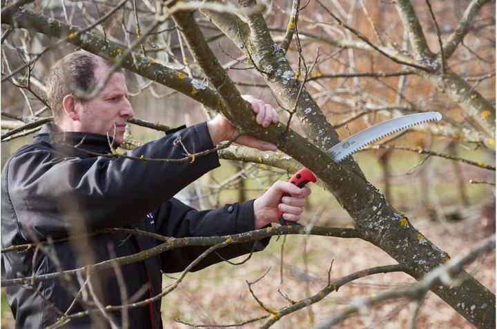 Actual product image Felco Tree saw 630