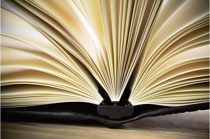 Actual product image Sigel Notebook Conceptum flex (A5, Checked, Soft cover)