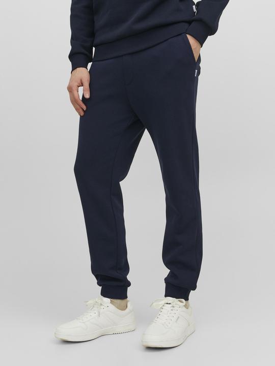Actual product image Jack & Jones Gordon Bradley Sweatpants (L)