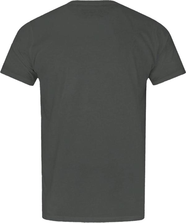 Actual product image Game of Thrones Stark Direwolf TShirt (S)