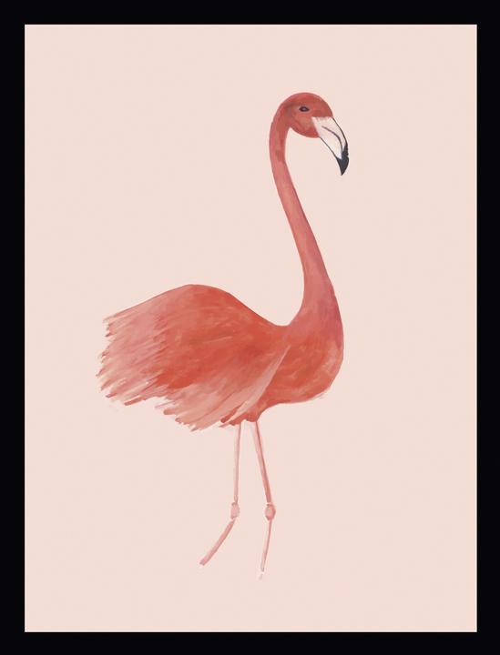 G&C Gallery Flamant rose (40 x 30 cm)