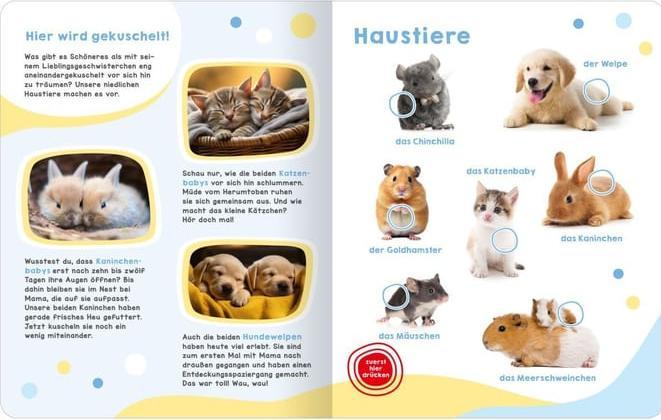 Produktbild Mein grosses Geräuschebuch – Tierbabys (Deutsch)