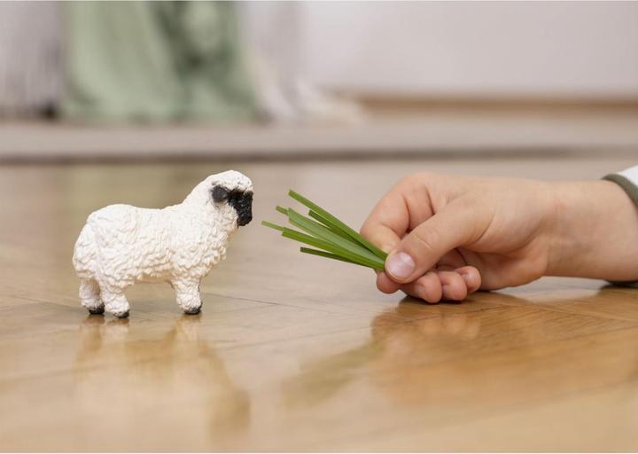 Immagine prodotto Schleich Pecora dal naso nero del Vallese