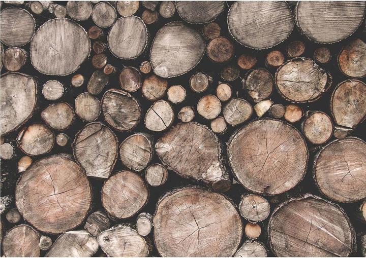 Immagine prodotto Trenddeko Pellicola per mobili, pellicola decorativa - pulibile - legno 08 (100 x 150 cm)