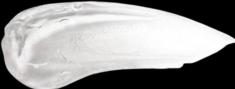 Image du produit Danessa Myricks Danessa Face - Baume mouillé Dew Clear