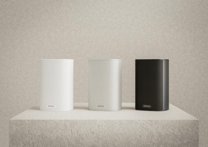 Actual product image Piega Ace 30 Wireless TX