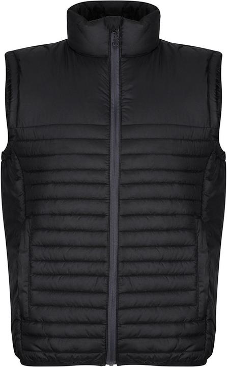 Image du produit Regatta Gilet recyclé Honestly Made (M)