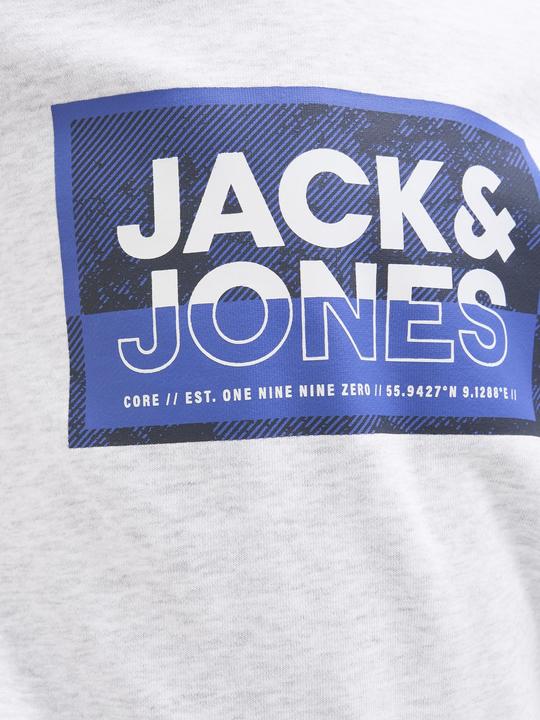 Immagine prodotto Jack & Jones Jcologan Ss24 Print Sweat Hood Sn Jnr (164)