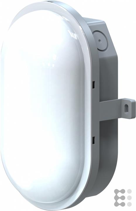 IDV LED oval luminaire (1000 lm)