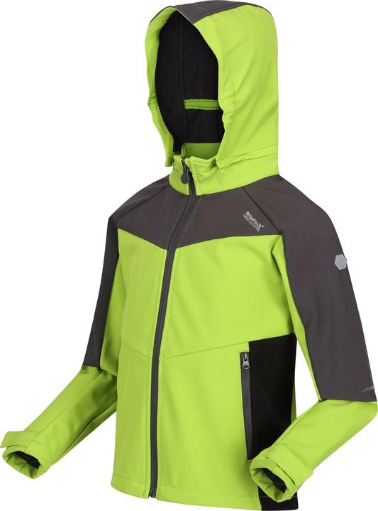 Image du produit Regatta Veste softshell Eastcott II (104)