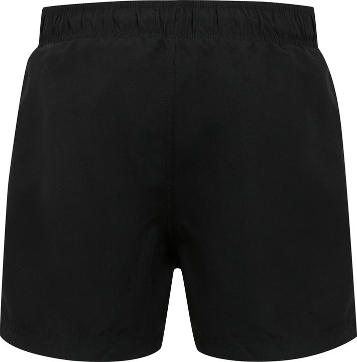 Actual product image Regatta Mens Mawson II Swim Shorts (L)