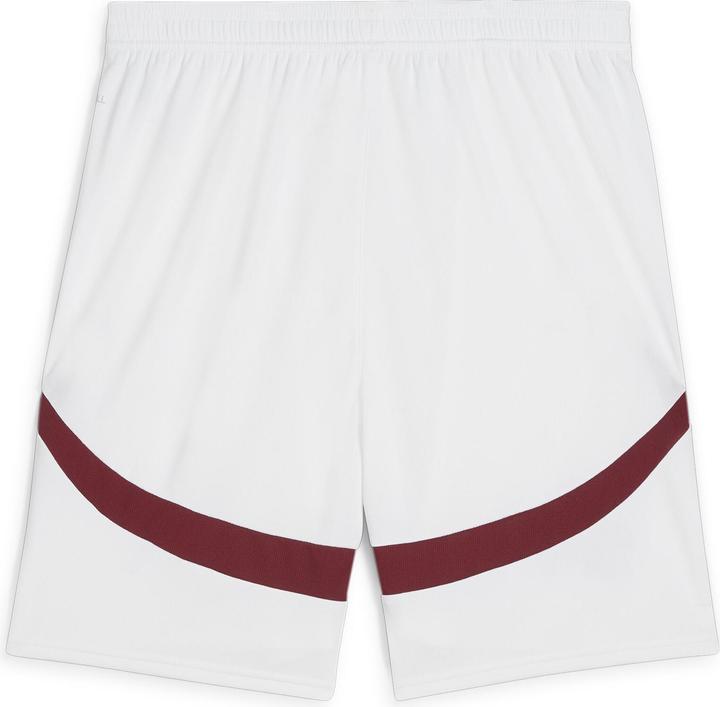 Actual product image Puma SFV Shorts Replica (XL)