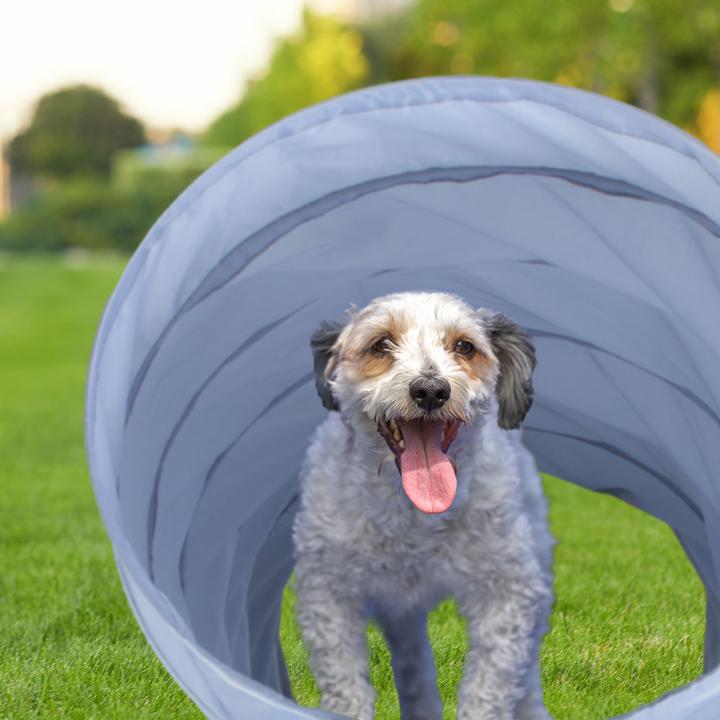 Actual product image Relaxdays Dog tunnel (Agility)