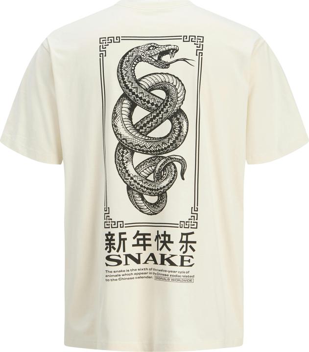 Actual product image Jack & Jones Jorsnake Tee Ss Crew Neck Tg Ln (XXL)
