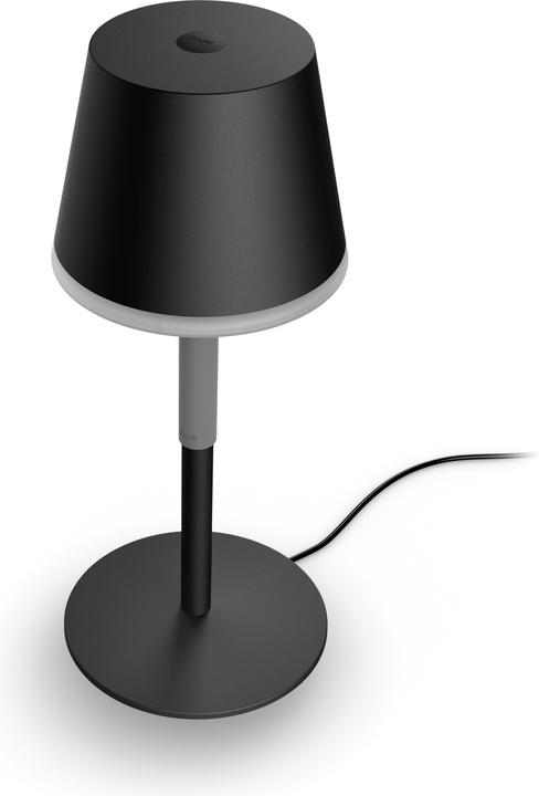 Actual product image Philips Hue Go (370 lm)
