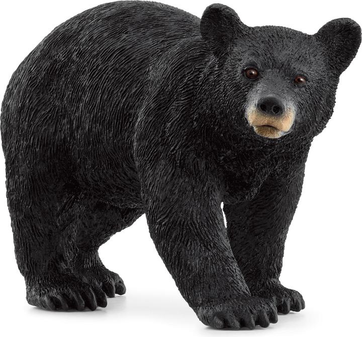 Produktbild Schleich Amerikanischer Schwarzbär