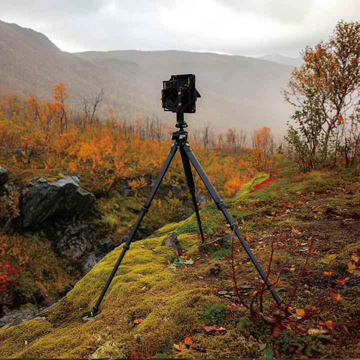 Immagine prodotto Falcam TreeRoot Quick Lock Pro Tripod T00A4901