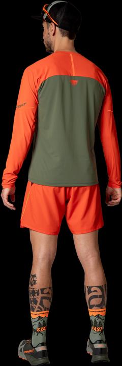 Image du produit Dynafit T-shirt Alpine Pro à manches longues (S)