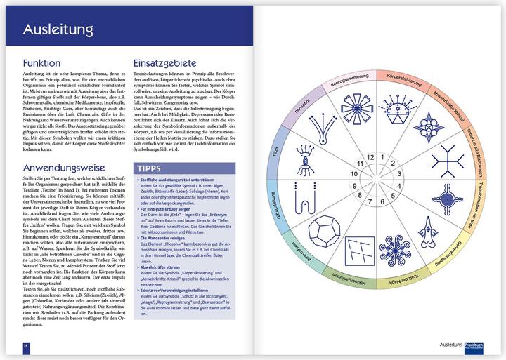 Immagine prodotto Praxisbuch Neue Homöopathie. Band 2 (Tedesco, Roswitha Stark, Christina Baumann, 2024)