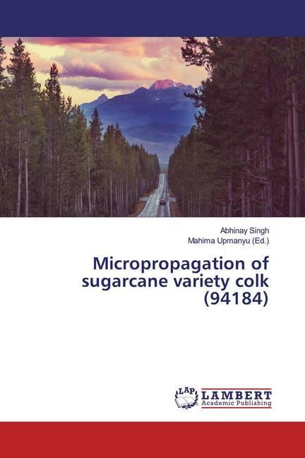 Actual product image Micropropagation of sugarcane variety colk (94184) (Abhinay Singh, 2019)