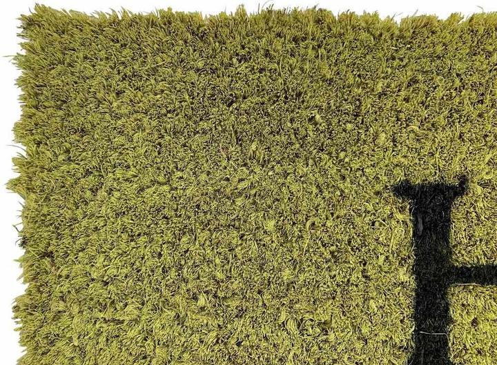 Actual product image Siena Home Doormat (26 x 75 cm)