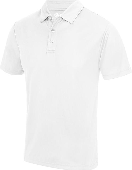 Blanc arctique