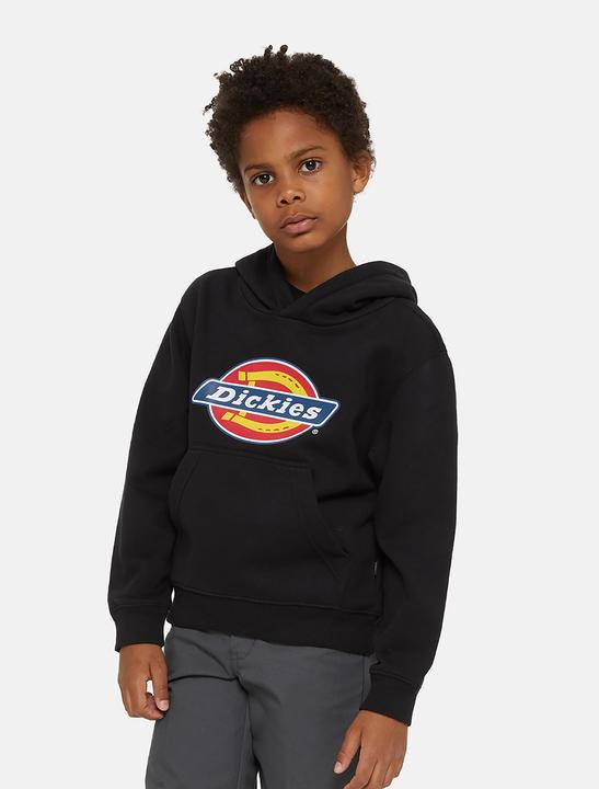 Immagine prodotto Dickies Youth Logo Hoodie (S)