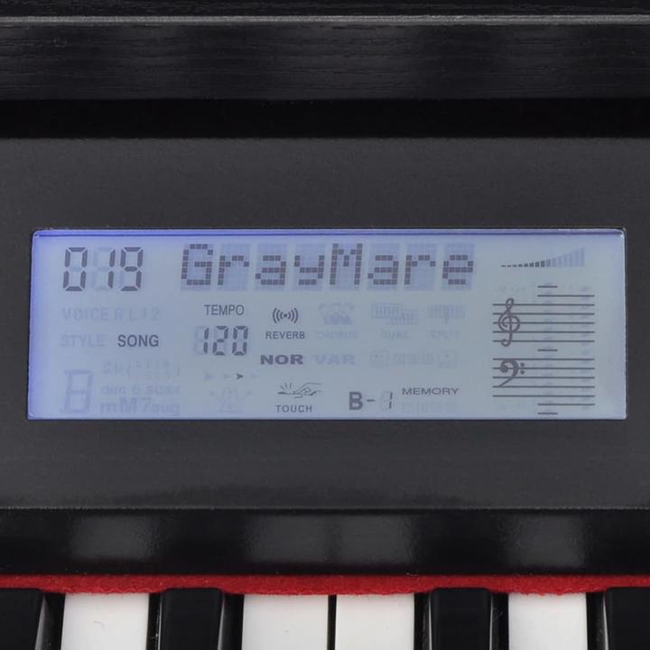 Actual product image VidaXL Falco (88 Keys)