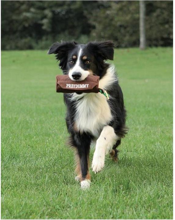 Produktbild Trixie Preydummy (Wurfspielzeug Hund, Apportieren)